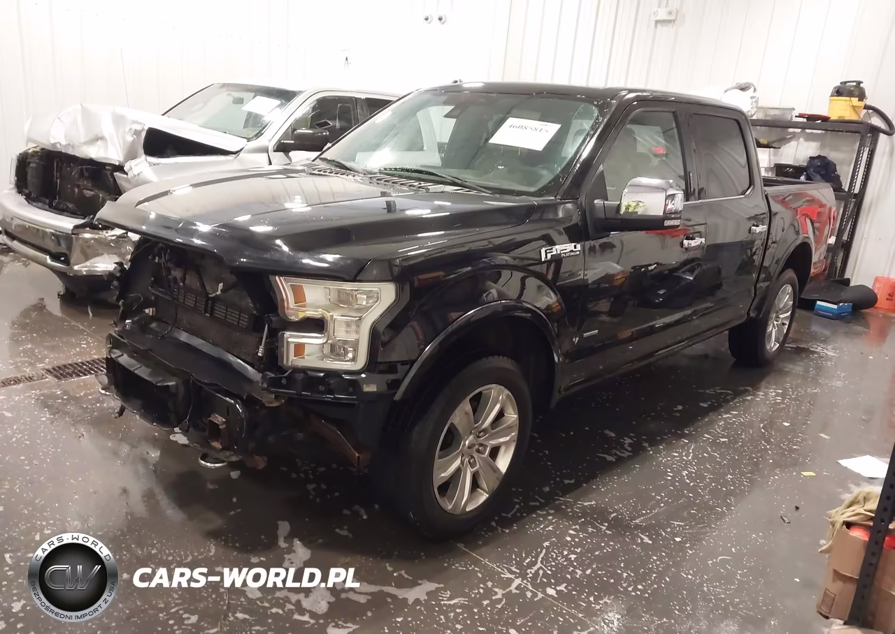 2015 Ford F-150 Platinum VIN:1FTEW1EG6FFA05144 - 2