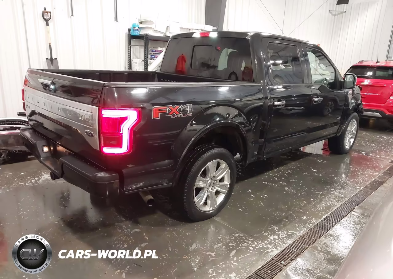 2015 Ford F-150 Platinum VIN:1FTEW1EG6FFA05144 - 4