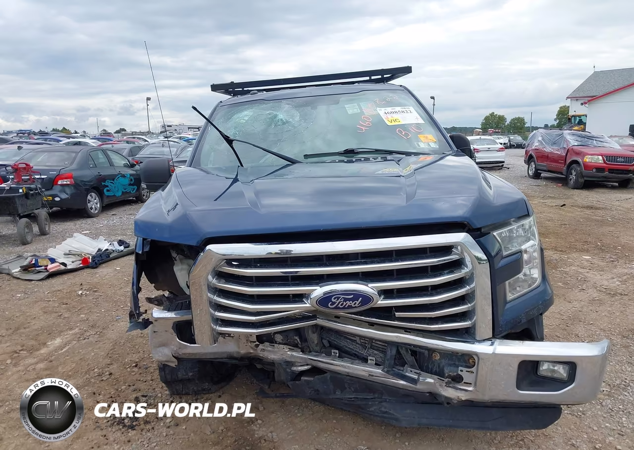 2015 Ford F-150 Xlt VIN:1FTEW1EG4FFA51569 - 11