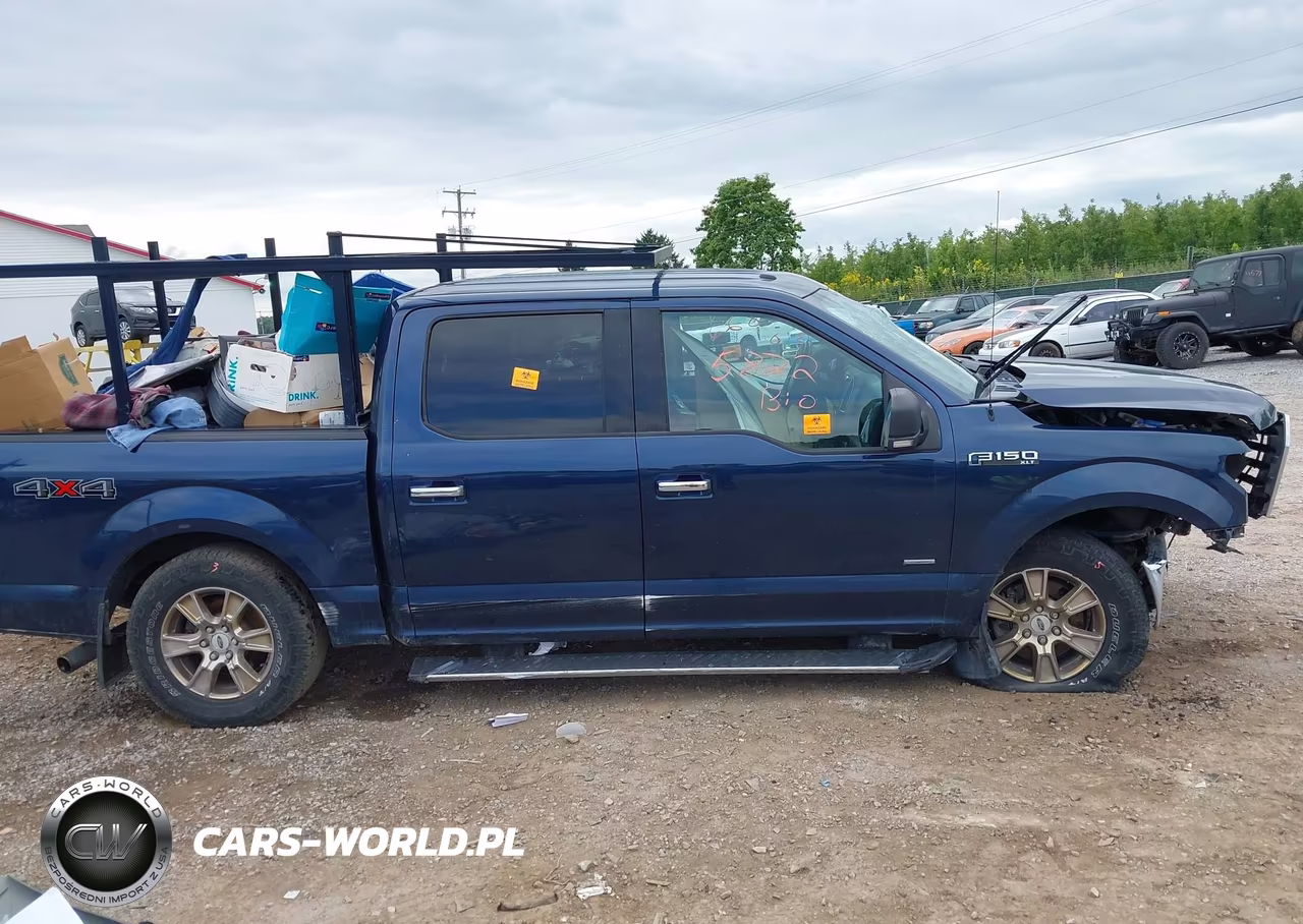 2015 Ford F-150 Xlt VIN:1FTEW1EG4FFA51569 - 12