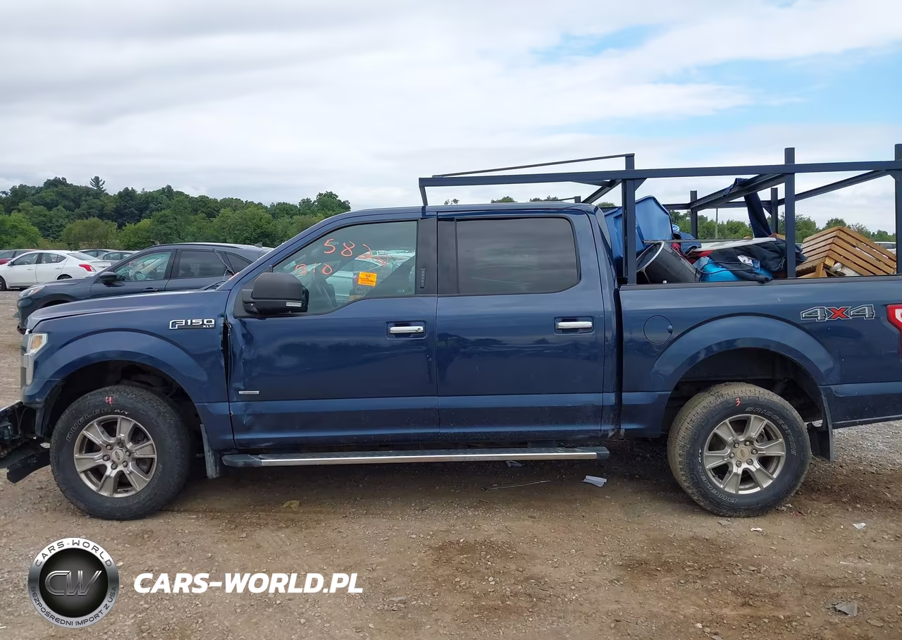 2015 Ford F-150 Xlt VIN:1FTEW1EG4FFA51569 - 13