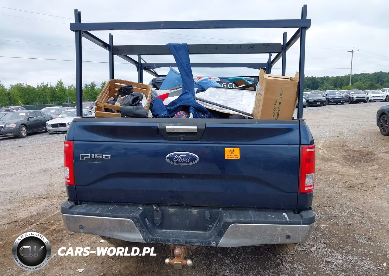 2015 Ford F-150 Xlt VIN:1FTEW1EG4FFA51569 - 15