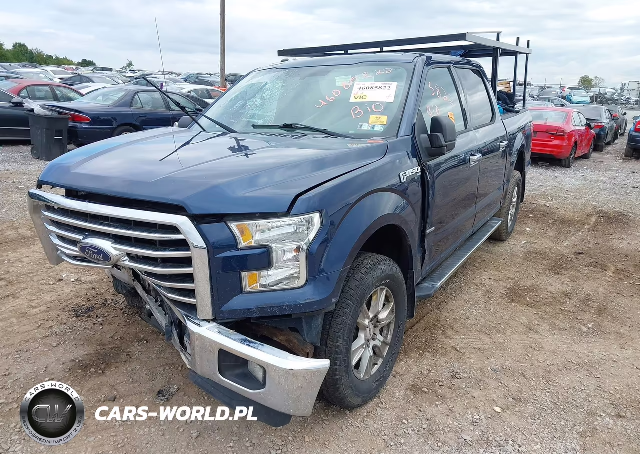 2015 Ford F-150 Xlt VIN:1FTEW1EG4FFA51569 - 2