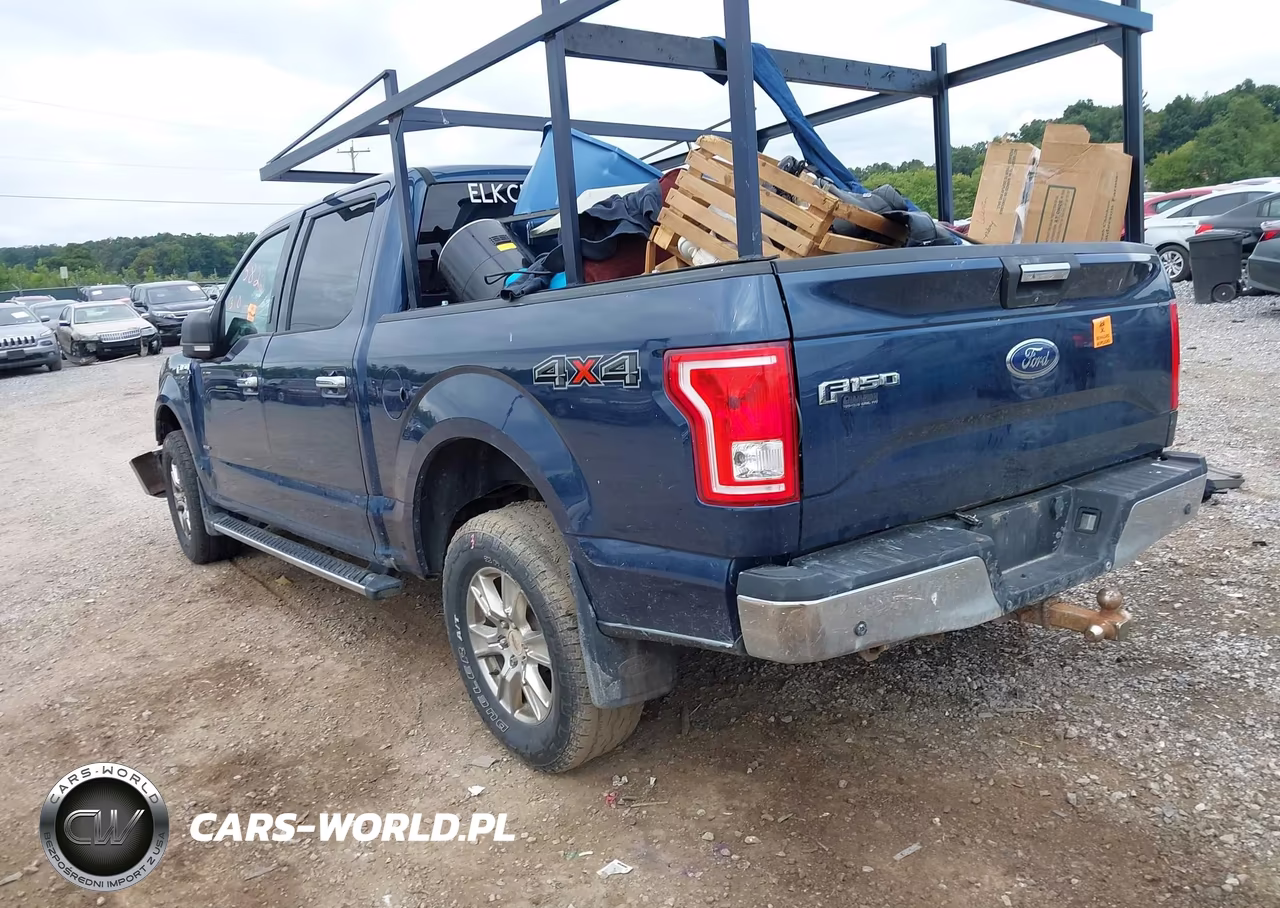 2015 Ford F-150 Xlt VIN:1FTEW1EG4FFA51569 - 3