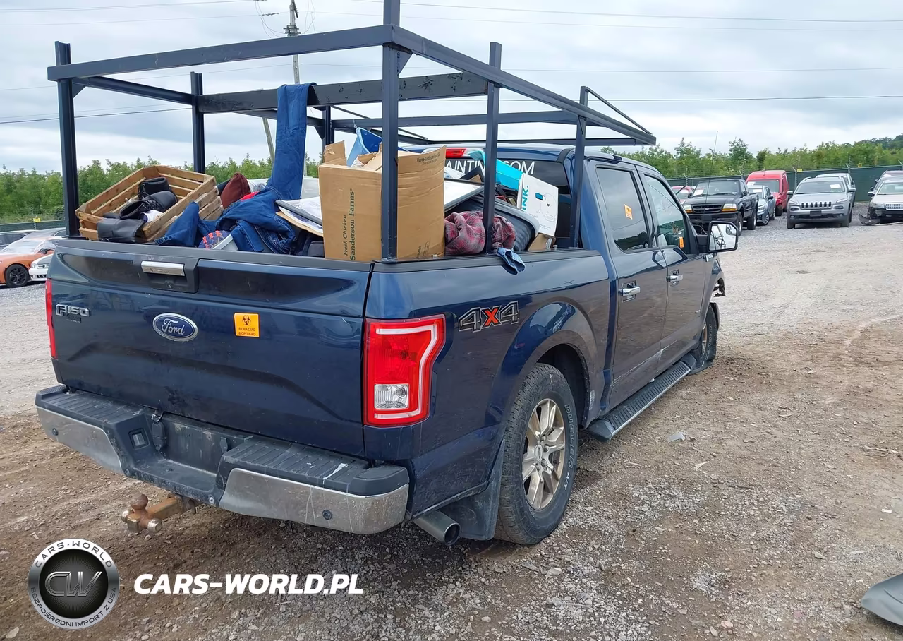 2015 Ford F-150 Xlt VIN:1FTEW1EG4FFA51569 - 4