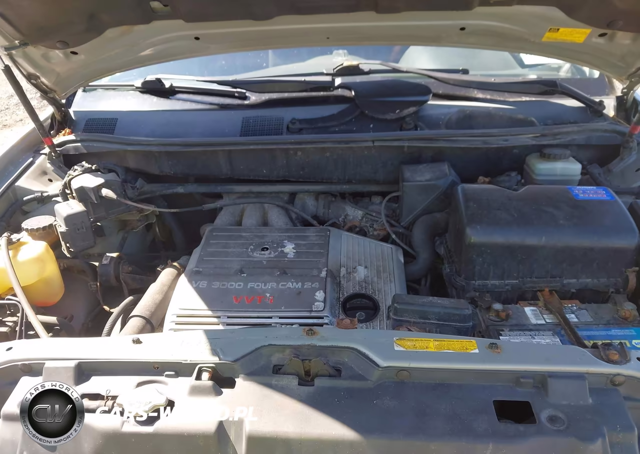 2003 Lexus Rx 300 VIN:JTJHF10U730302672 - 10