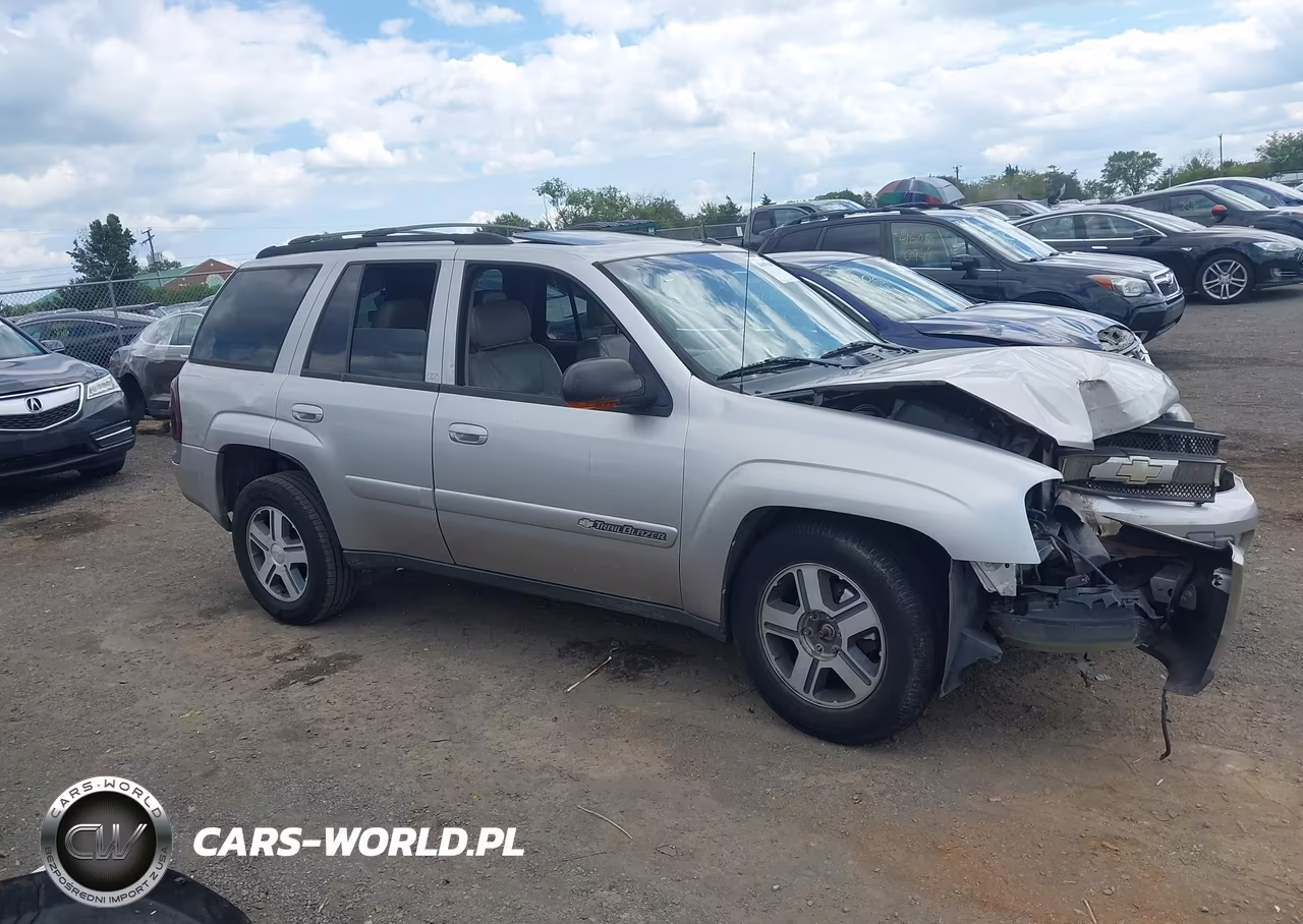 2004 Chevrolet Trailblazer Lt VIN:1GNDT13S942359070 - 12