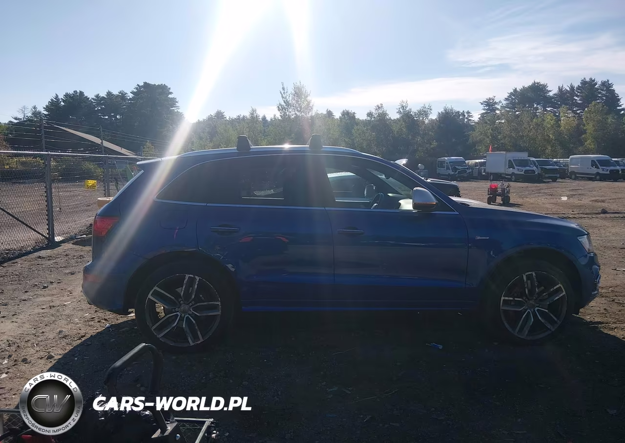 2017 Audi Sq5 3.0T Premium Plus VIN:WA1CCAFP6HA036628 - 14