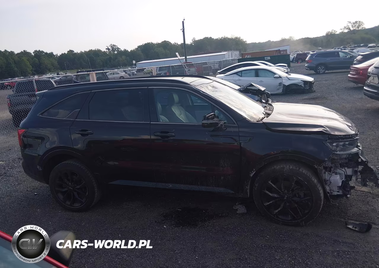 2021 Kia Sorento Sx VIN:5XYRKDLF1MG041312 - 12