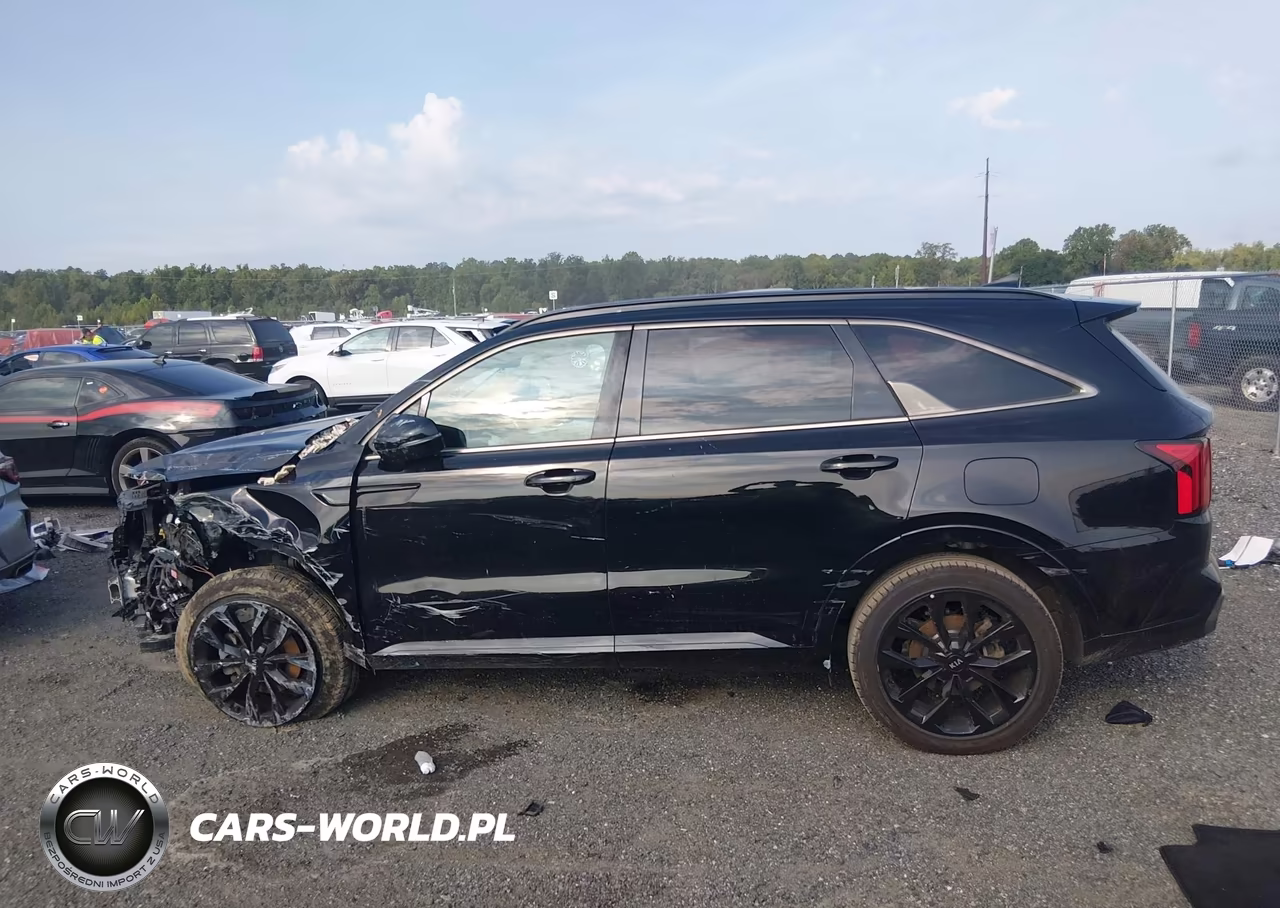 2021 Kia Sorento Sx VIN:5XYRKDLF1MG041312 - 13