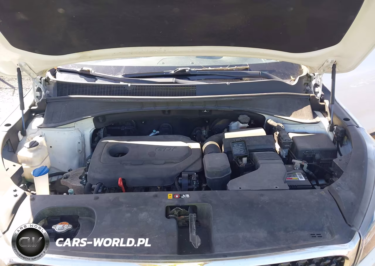 2017 Kia Sorento 2.4L Lx VIN:5XYPGDA35HG218869 - 10