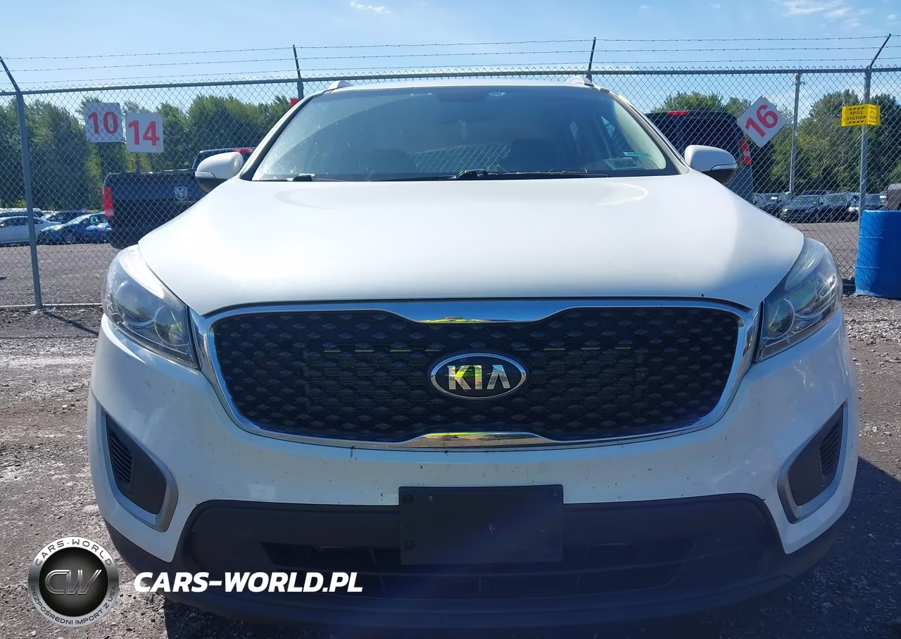 2017 Kia Sorento 2.4L Lx VIN:5XYPGDA35HG218869 - 12
