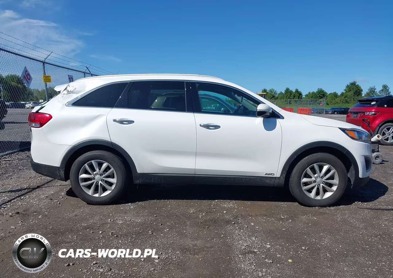 2017 Kia Sorento 2.4L Lx VIN:5XYPGDA35HG218869 - 13
