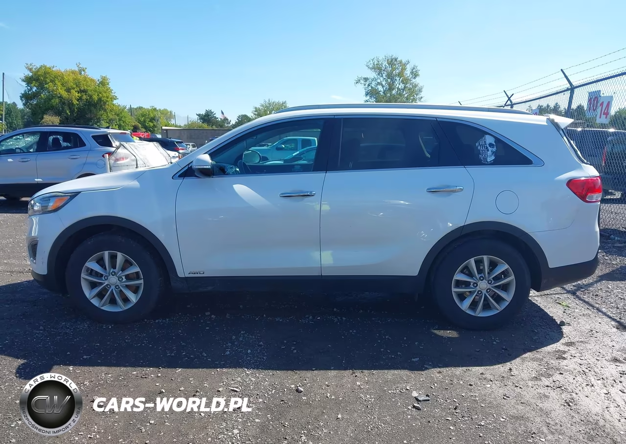 2017 Kia Sorento 2.4L Lx VIN:5XYPGDA35HG218869 - 14