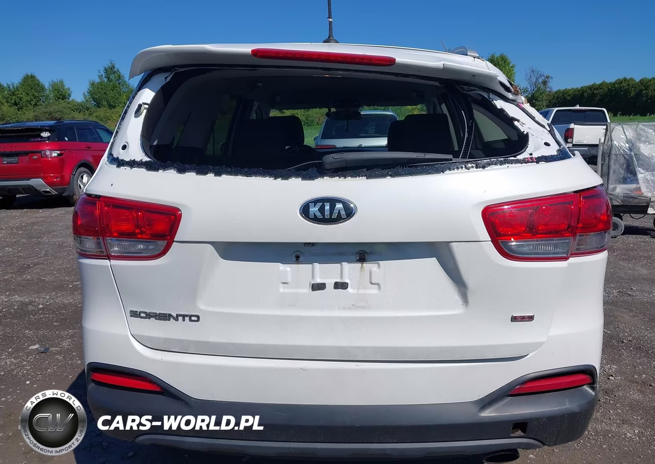 2017 Kia Sorento 2.4L Lx VIN:5XYPGDA35HG218869 - 16