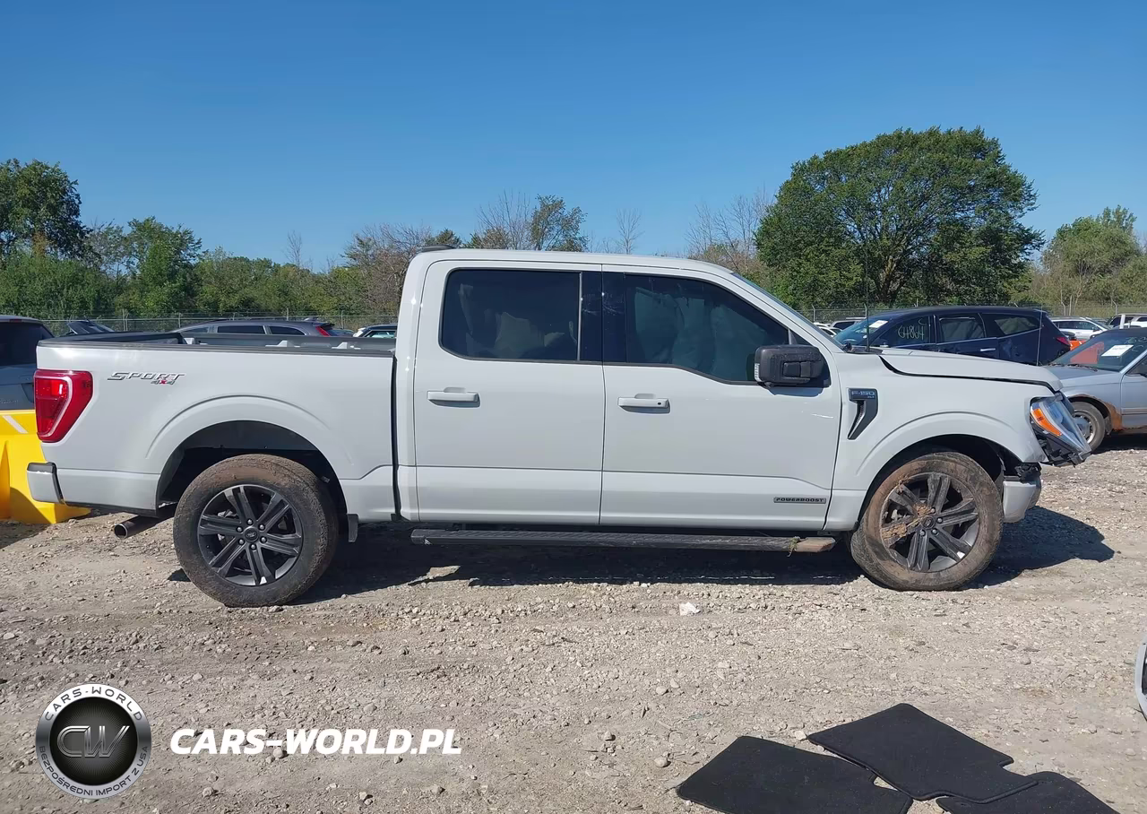 2023 Ford F-150 Xlt VIN:1FTFW1ED3PFD09852 - 14