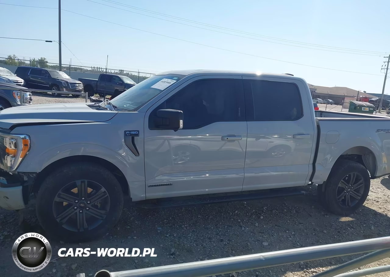 2023 Ford F-150 Xlt VIN:1FTFW1ED3PFD09852 - 15