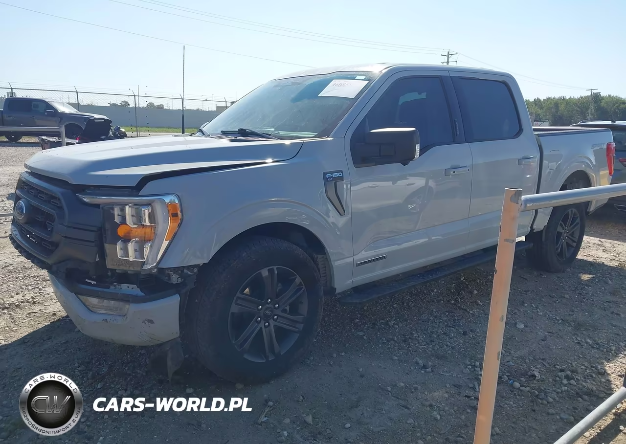 2023 Ford F-150 Xlt VIN:1FTFW1ED3PFD09852 - 2