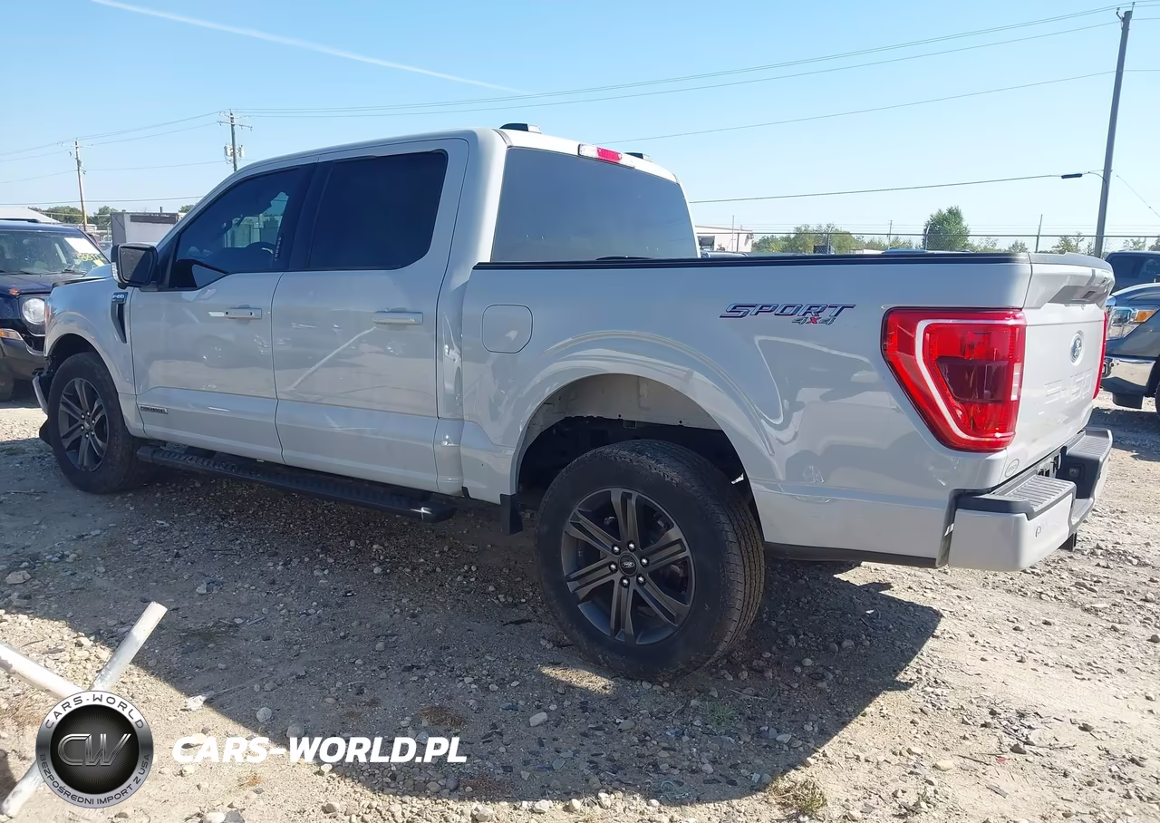 2023 Ford F-150 Xlt VIN:1FTFW1ED3PFD09852 - 3