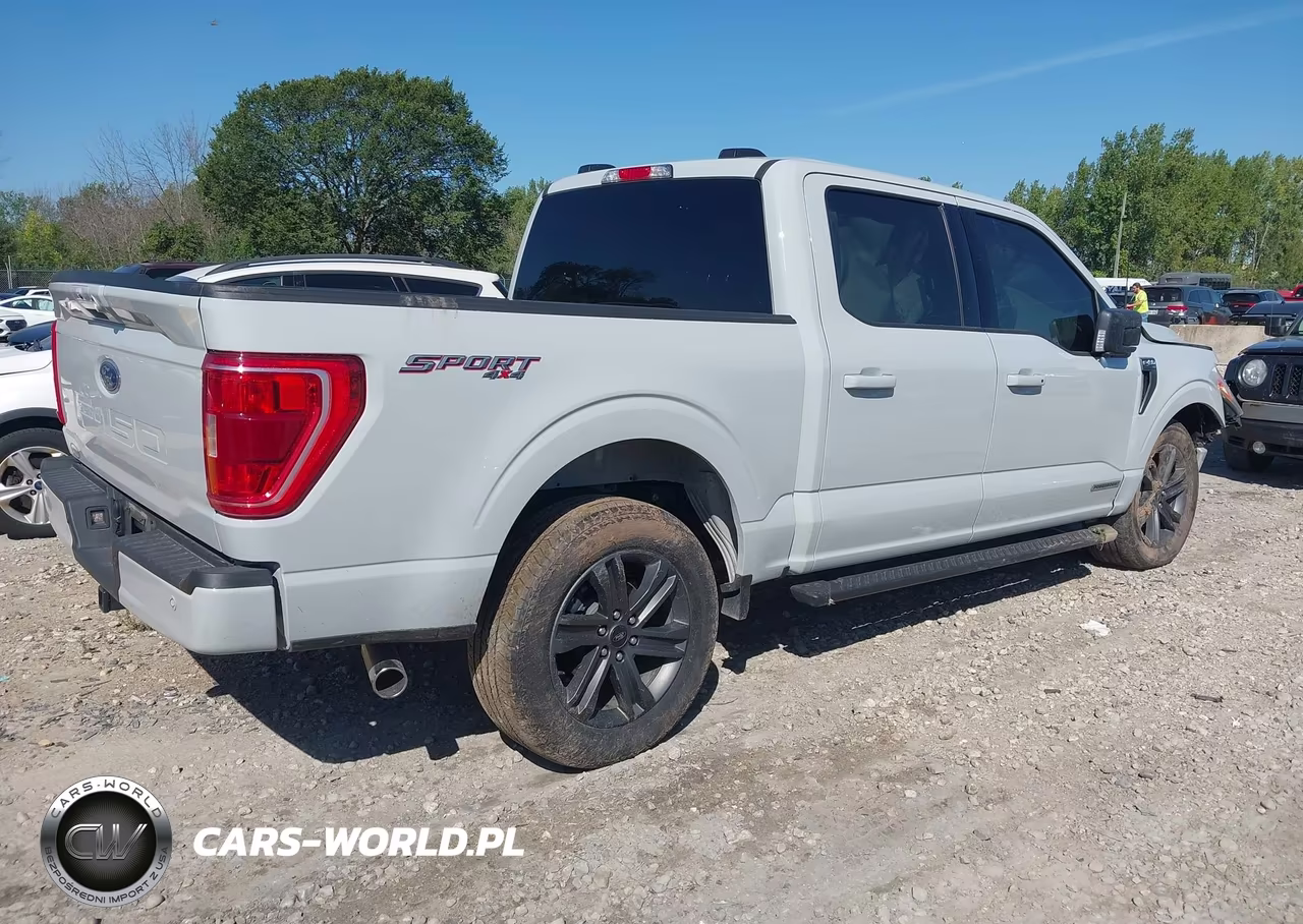 2023 Ford F-150 Xlt VIN:1FTFW1ED3PFD09852 - 4