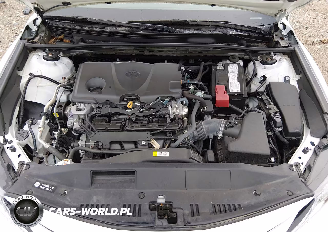 2023 Toyota Camry Le VIN:4T1C11AK3PU116632 - 10