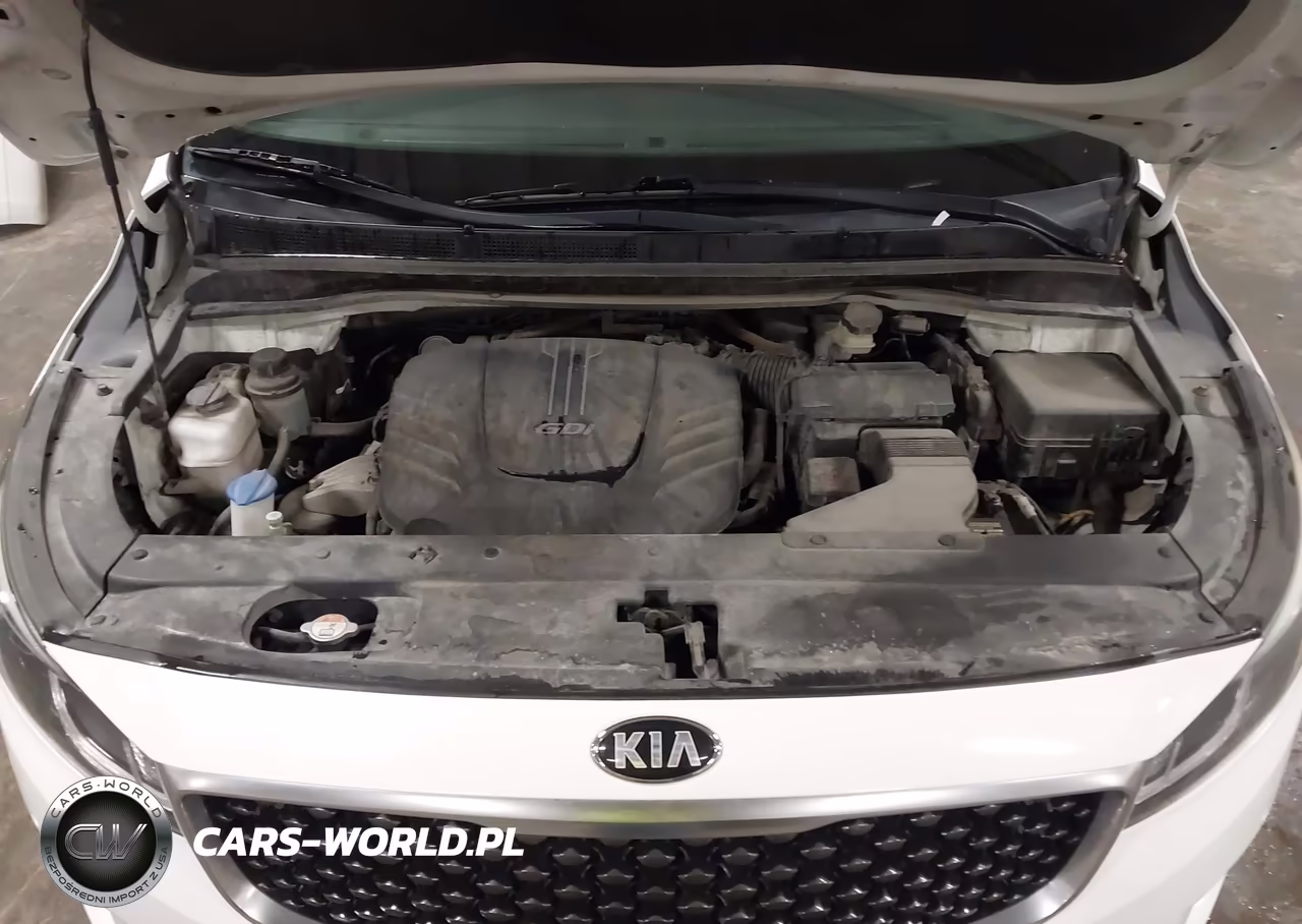 2017 Kia Sedona Lx VIN:KNDMB5C17H6325007 - 10