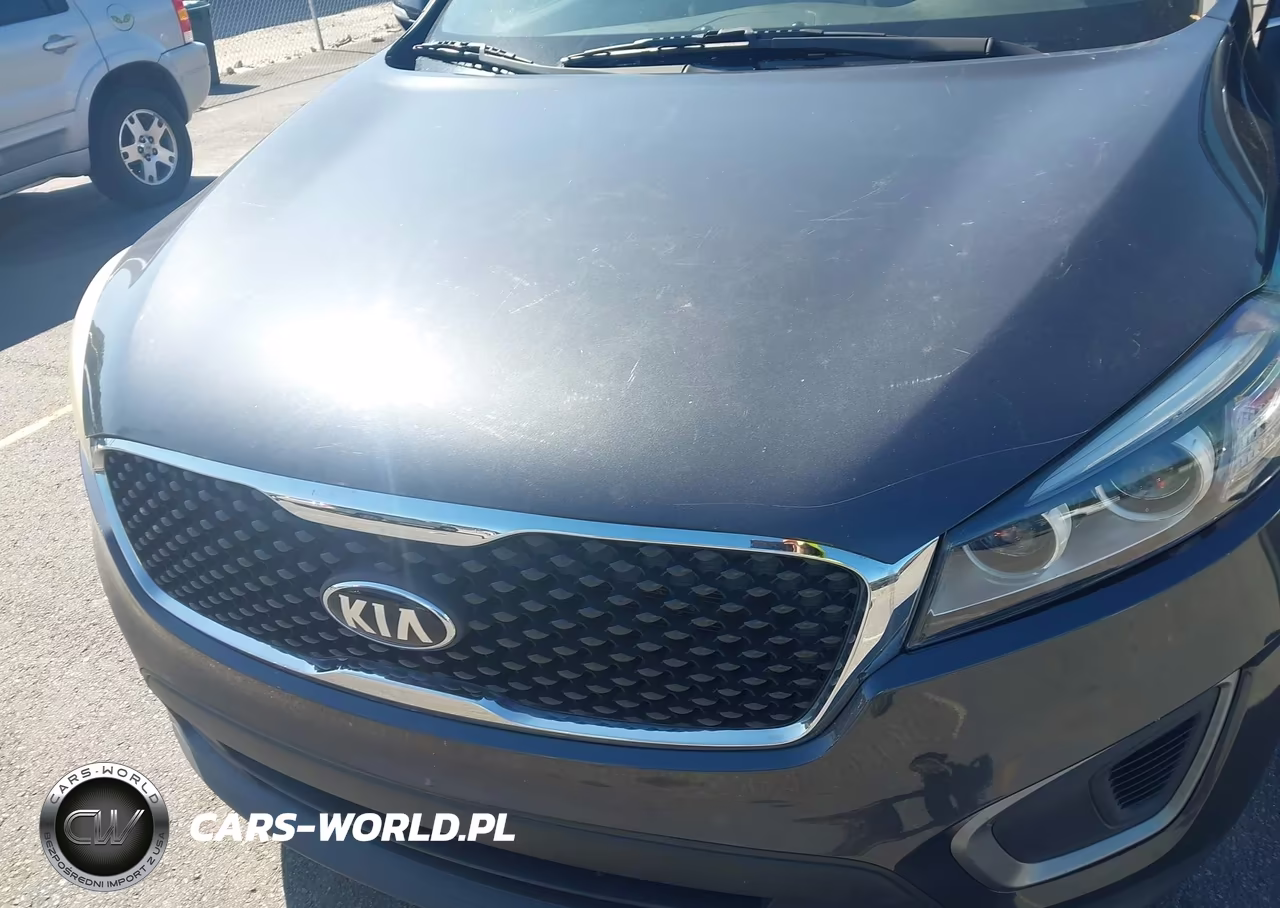 2016 Kia Sorento 2.4L Lx VIN:5XYPG4A33GG100866 - 6