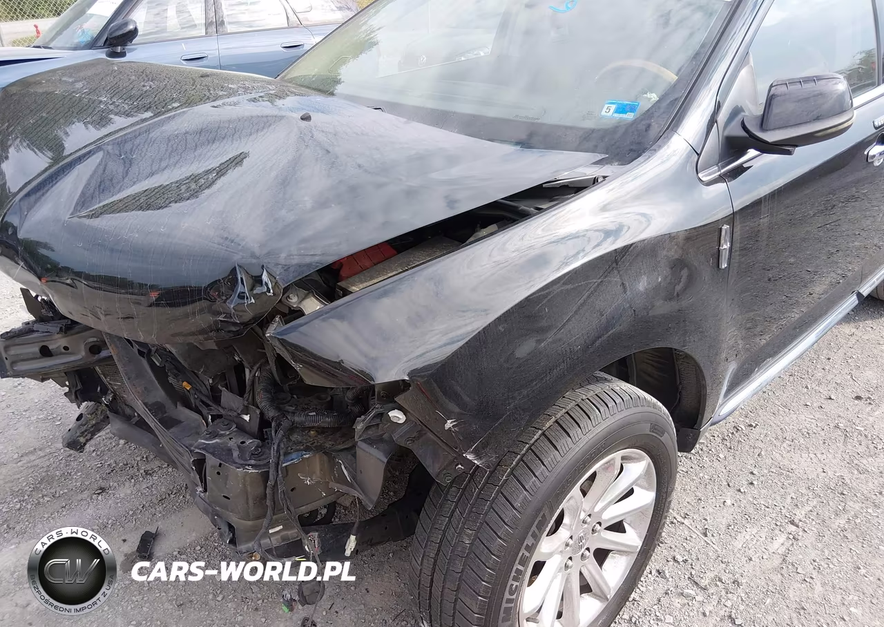 2013 Lincoln Mkx VIN:2LMDJ8JK9DBL01142 - 17