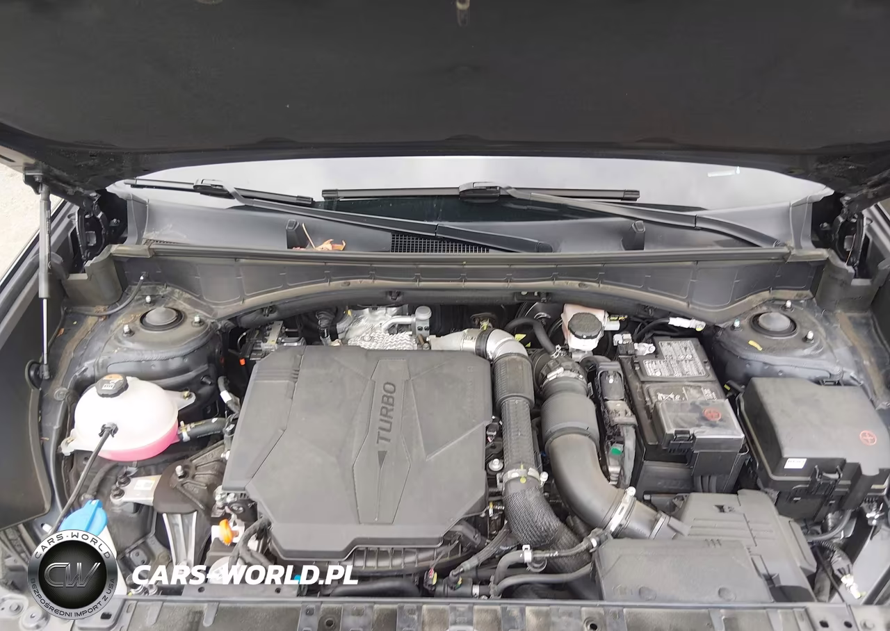 2025 Hyundai Santa Fe Calligraphy VIN:5NMP5DGL7SH087289 - 10
