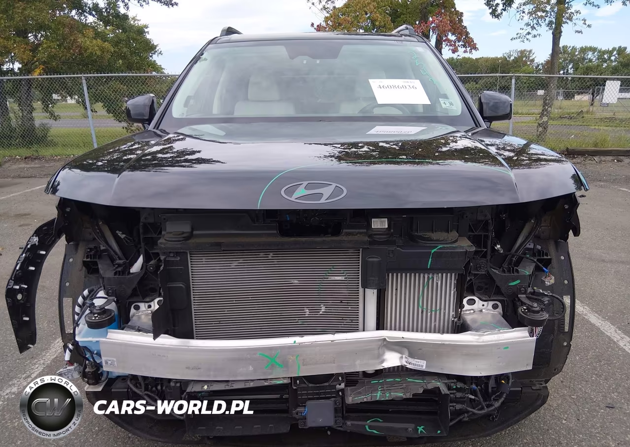 2025 Hyundai Santa Fe Calligraphy VIN:5NMP5DGL7SH087289 - 12