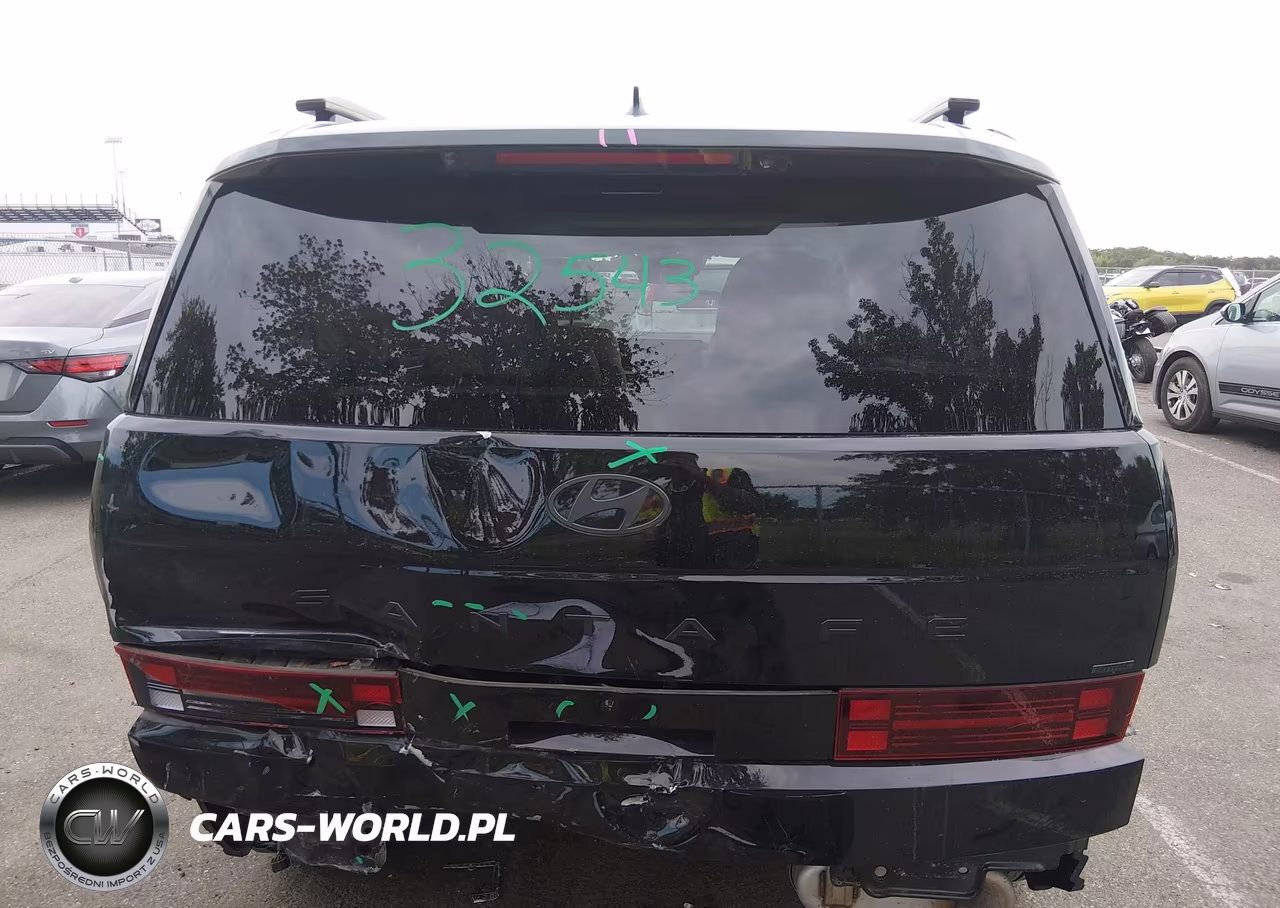 2025 Hyundai Santa Fe Calligraphy VIN:5NMP5DGL7SH087289 - 16