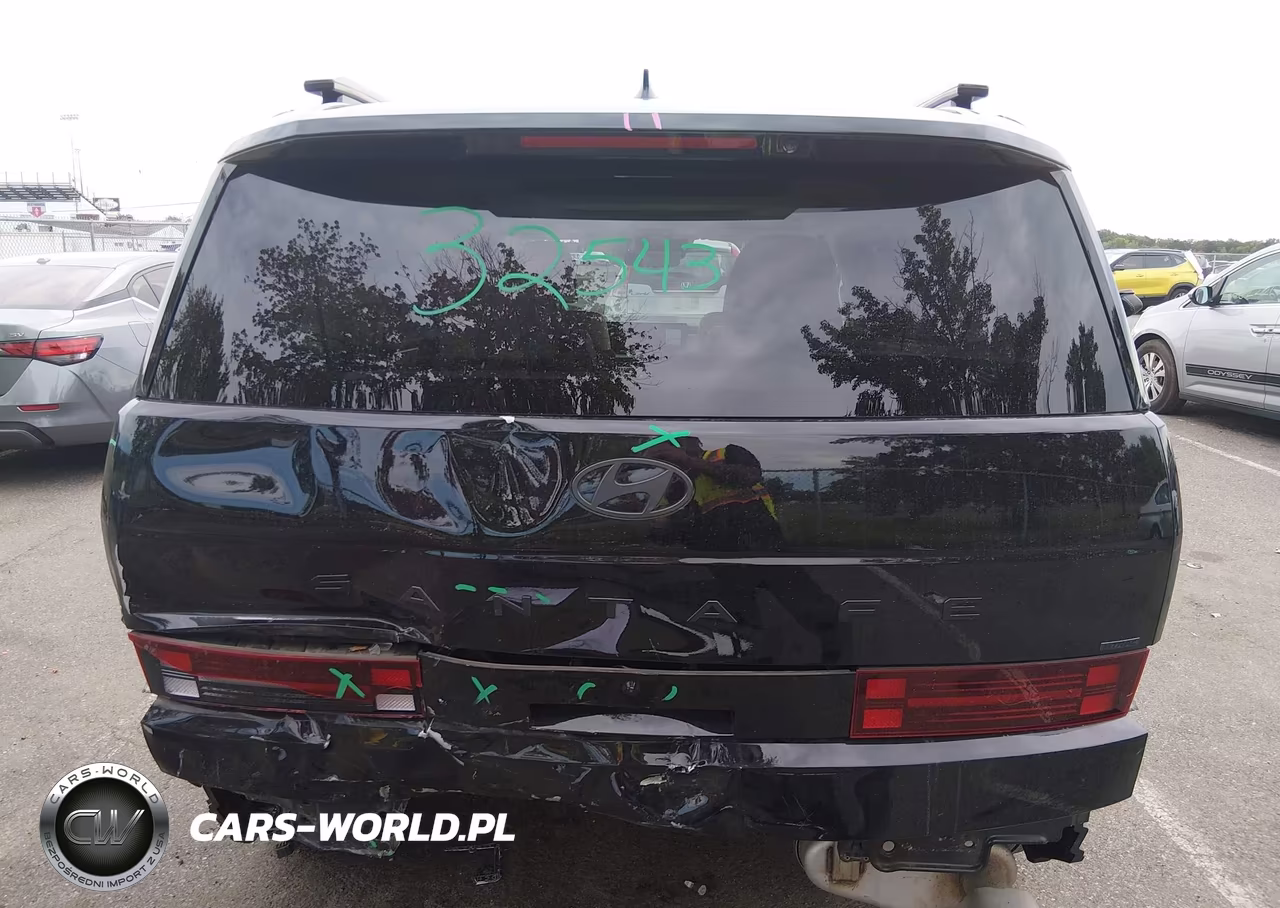 2025 Hyundai Santa Fe Calligraphy VIN:5NMP5DGL7SH087289 - 17