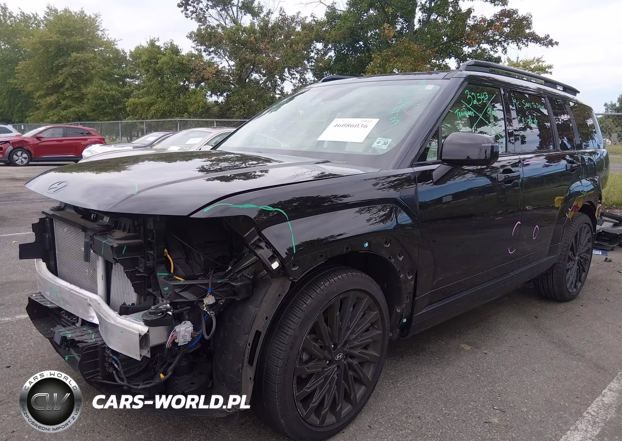 2025 Hyundai Santa Fe Calligraphy VIN:5NMP5DGL7SH087289 - 2
