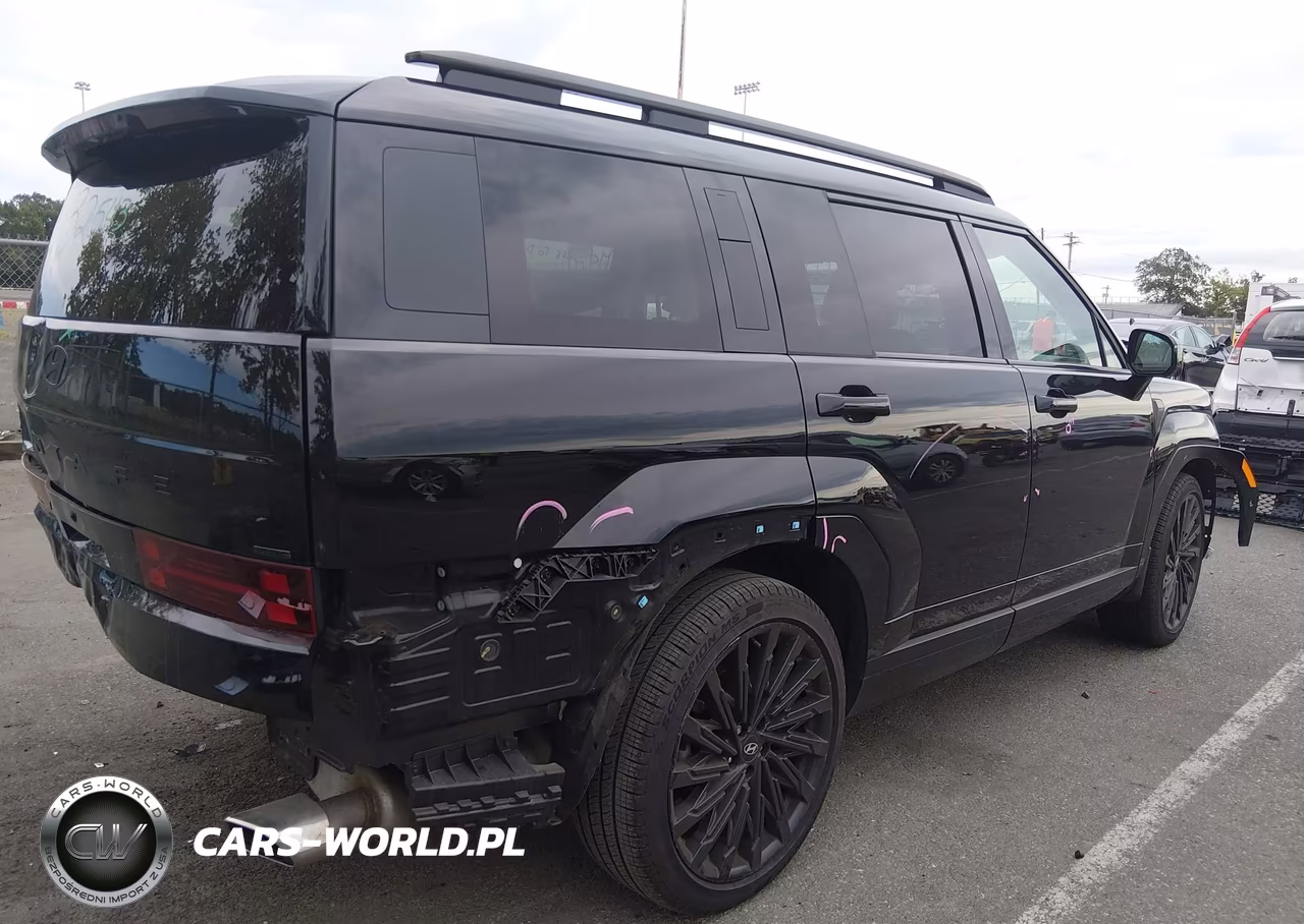 2025 Hyundai Santa Fe Calligraphy VIN:5NMP5DGL7SH087289 - 4