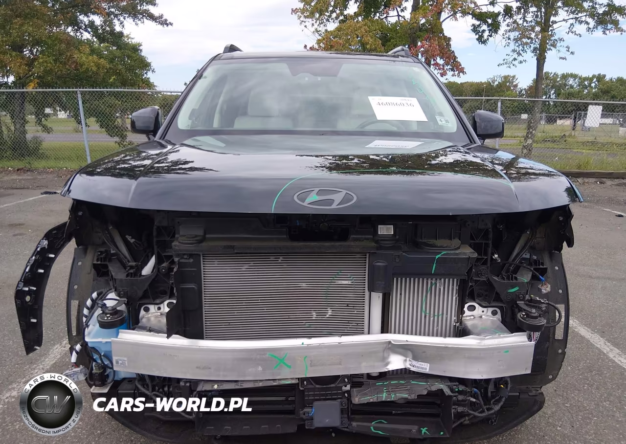 2025 Hyundai Santa Fe Calligraphy VIN:5NMP5DGL7SH087289 - 6