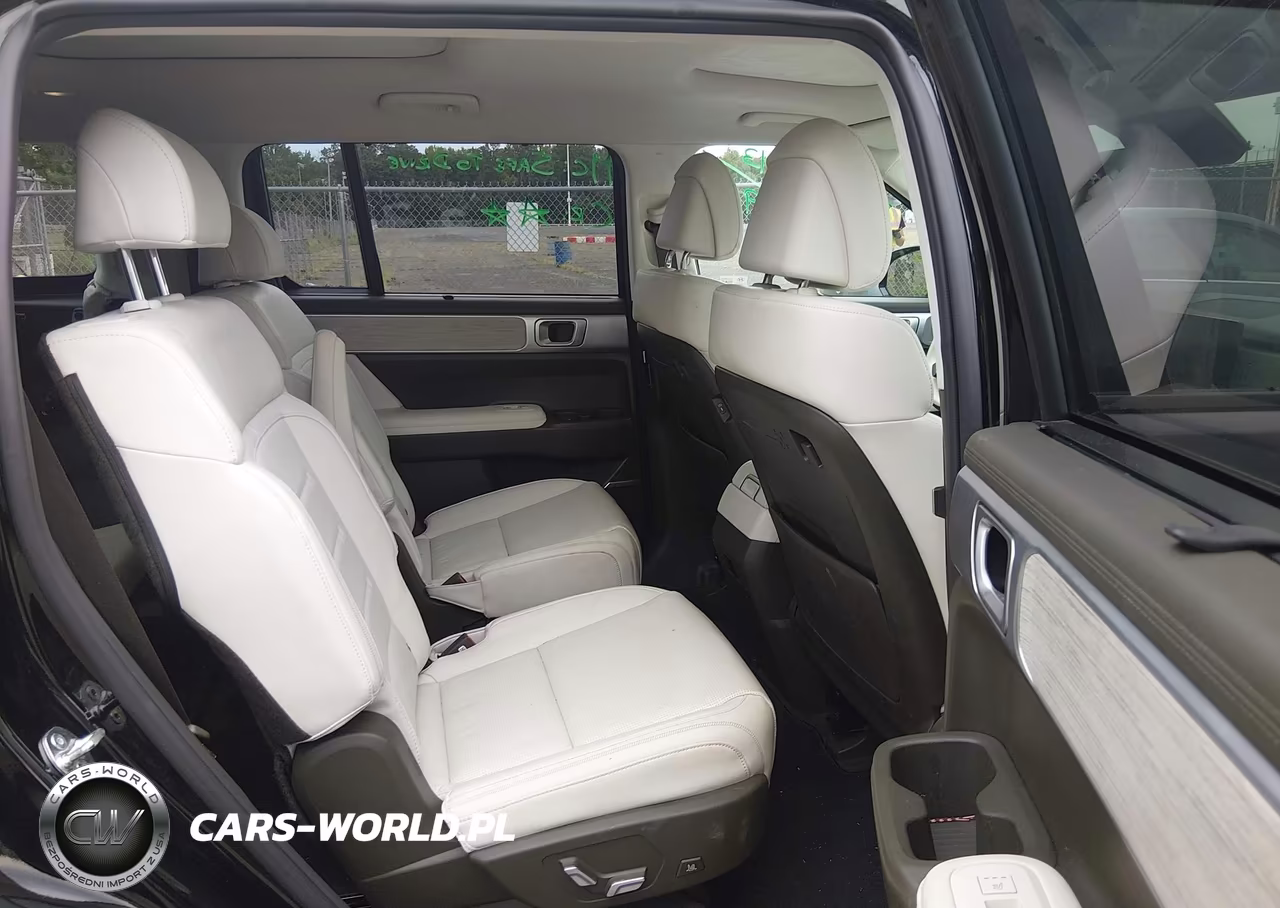 2025 Hyundai Santa Fe Calligraphy VIN:5NMP5DGL7SH087289 - 8