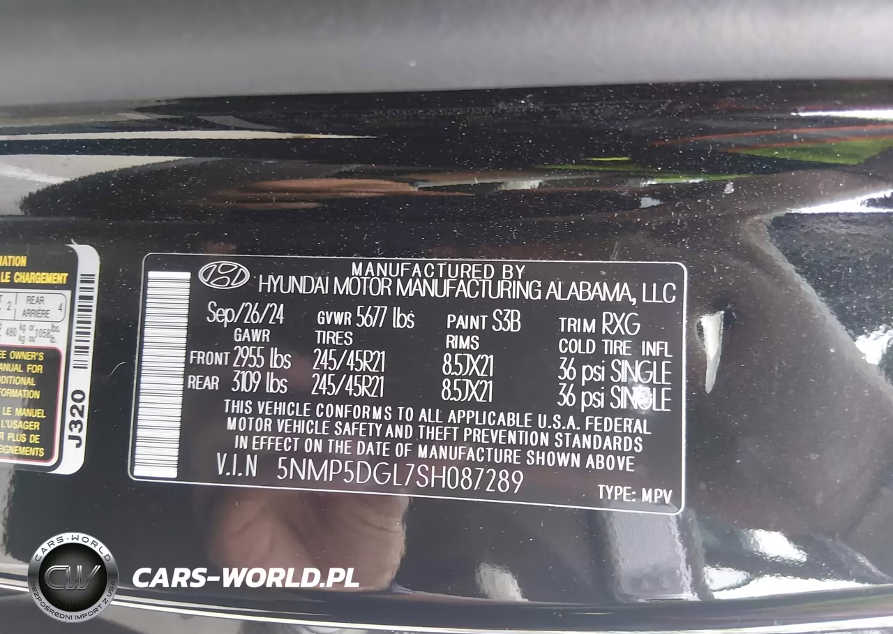 2025 Hyundai Santa Fe Calligraphy VIN:5NMP5DGL7SH087289 - 9