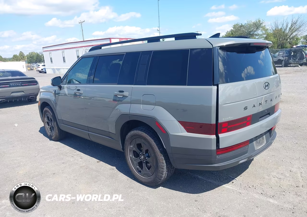 2024 Hyundai Santa Fe Xrt VIN:5NMP3DGLXRH020685 - 3
