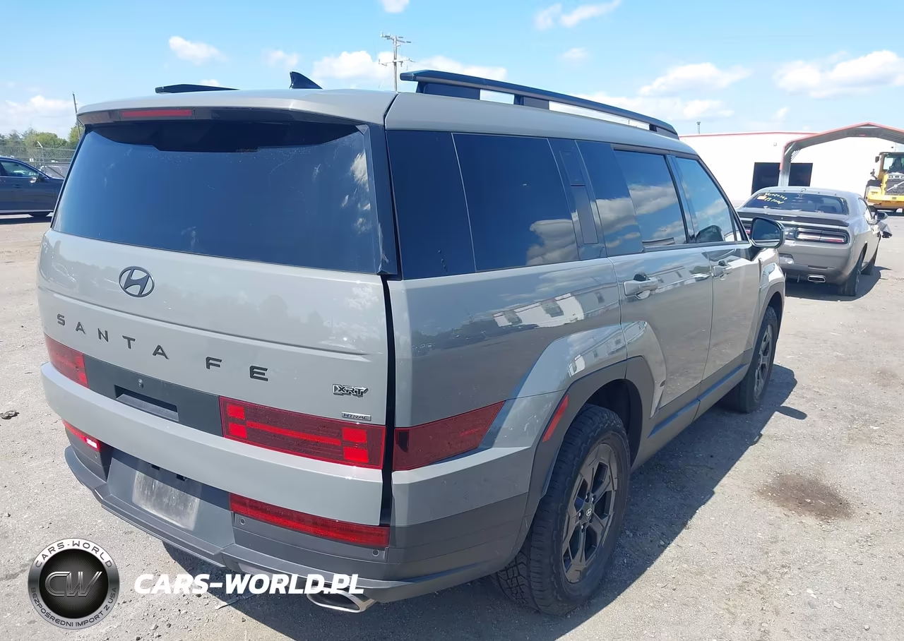 2024 Hyundai Santa Fe Xrt VIN:5NMP3DGLXRH020685 - 4