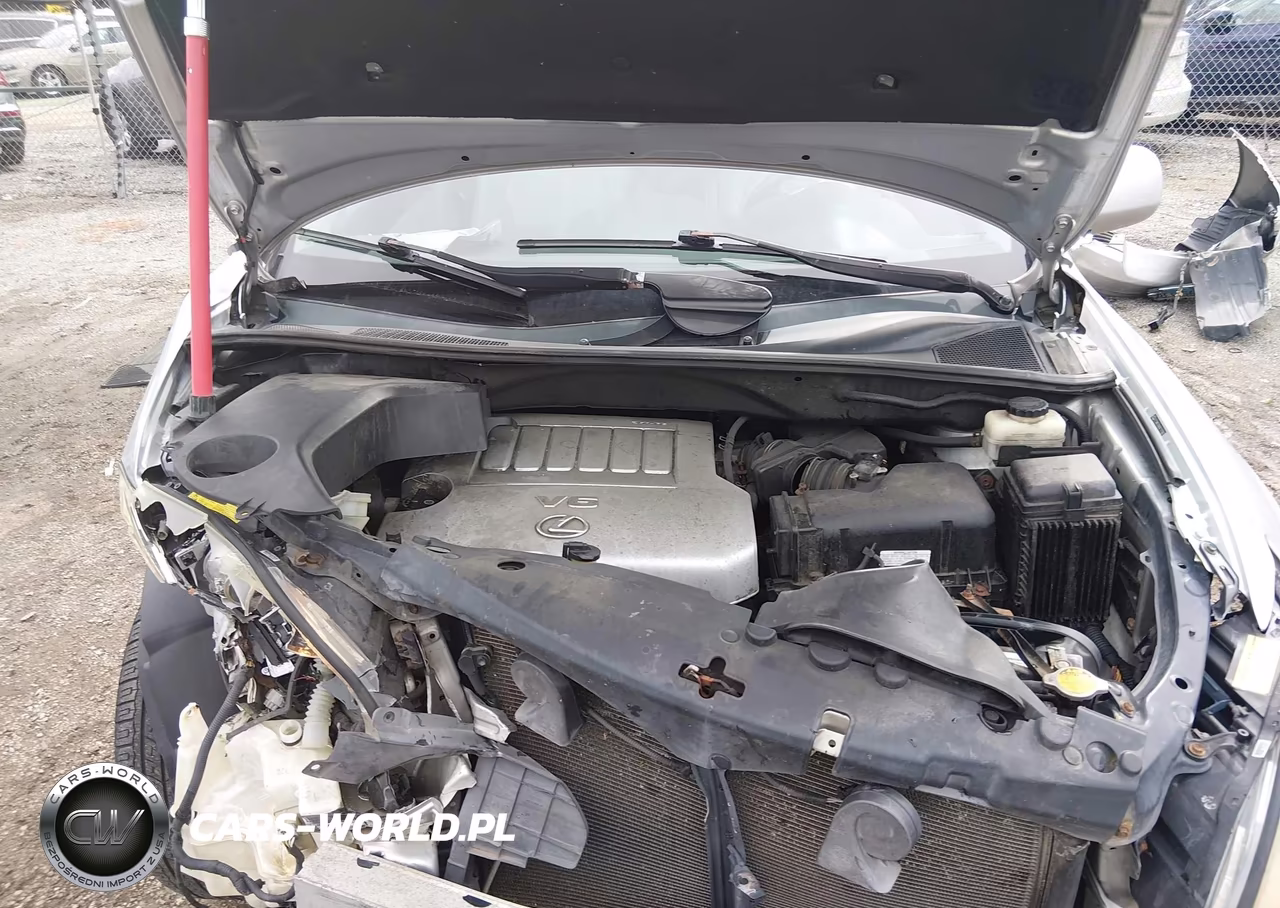 2009 Lexus Rx 350 VIN:2T2HK31U69C117967 - 10