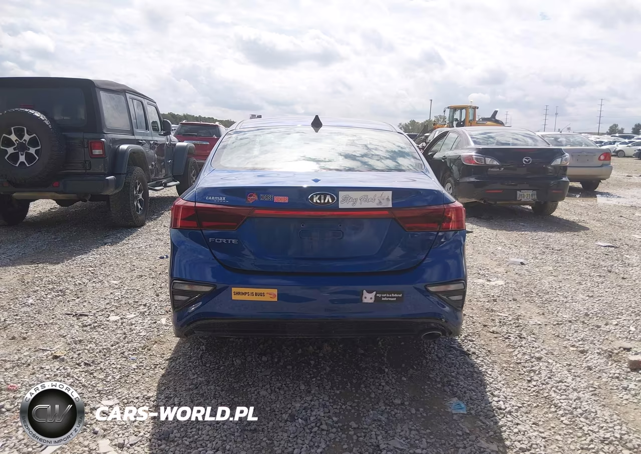 2020 Kia Forte Lxs VIN:3KPF24AD1LE156864 - 16