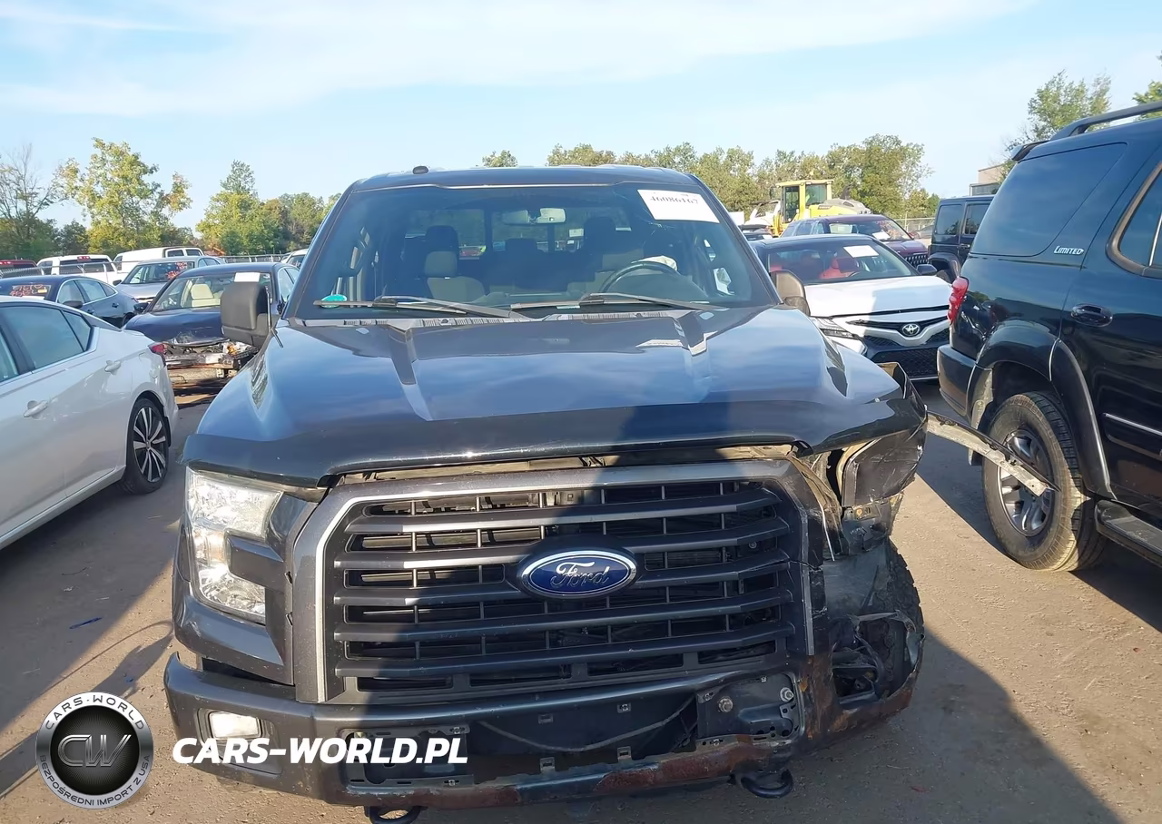 2017 Ford F-150 Xlt VIN:1FTFW1EF6HFA84555 - 12