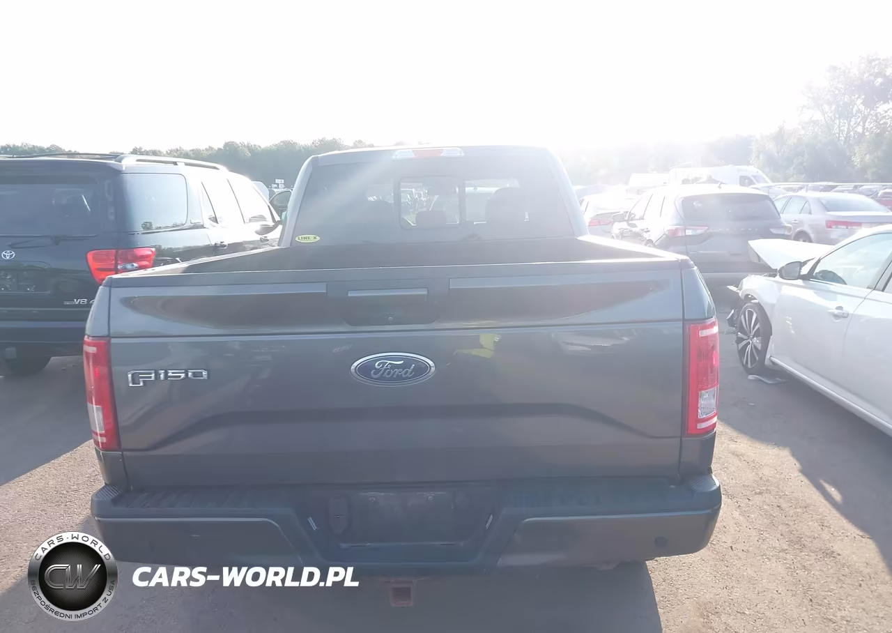 2017 Ford F-150 Xlt VIN:1FTFW1EF6HFA84555 - 16