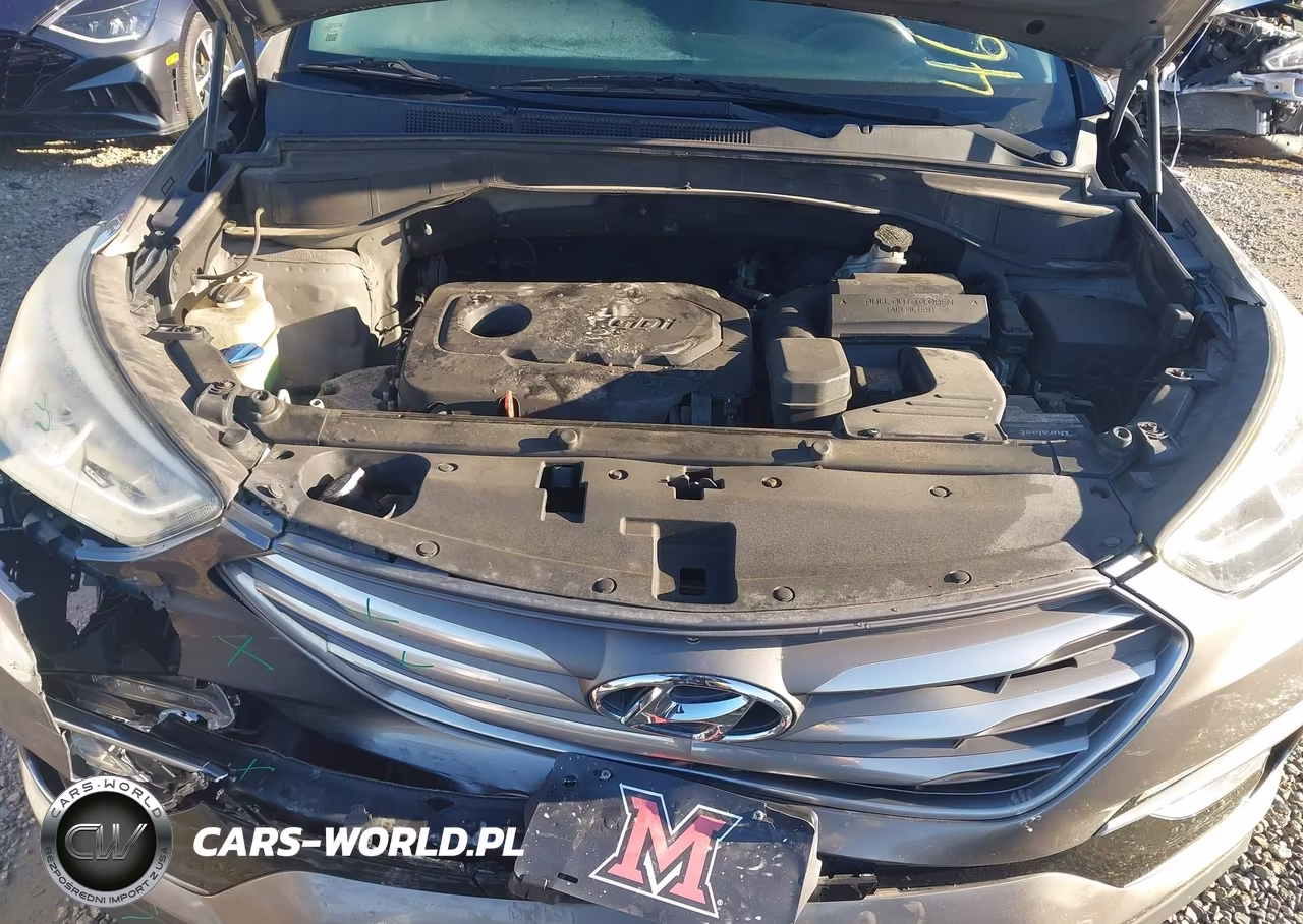 2017 Hyundai Santa Fe Sport 2.4L VIN:5NMZU3LB3HH001164 - 10