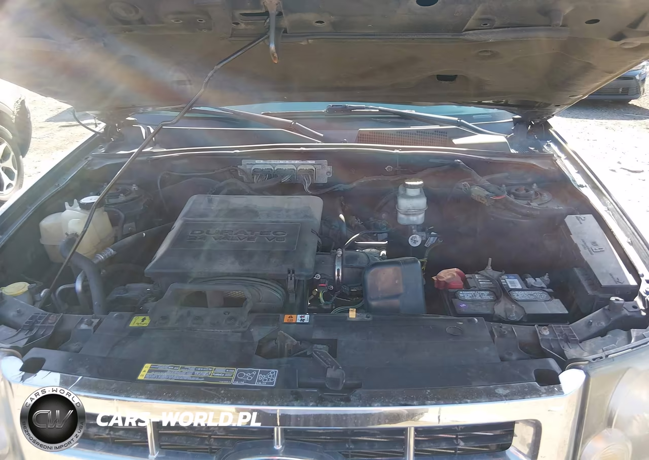 2011 Ford Escape Xlt VIN:1FMCU9DG4BKA55924 - 10