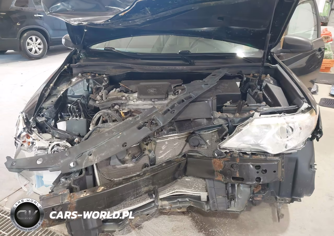 2014 Toyota Camry L VIN:4T4BF1FK5ER423261 - 10