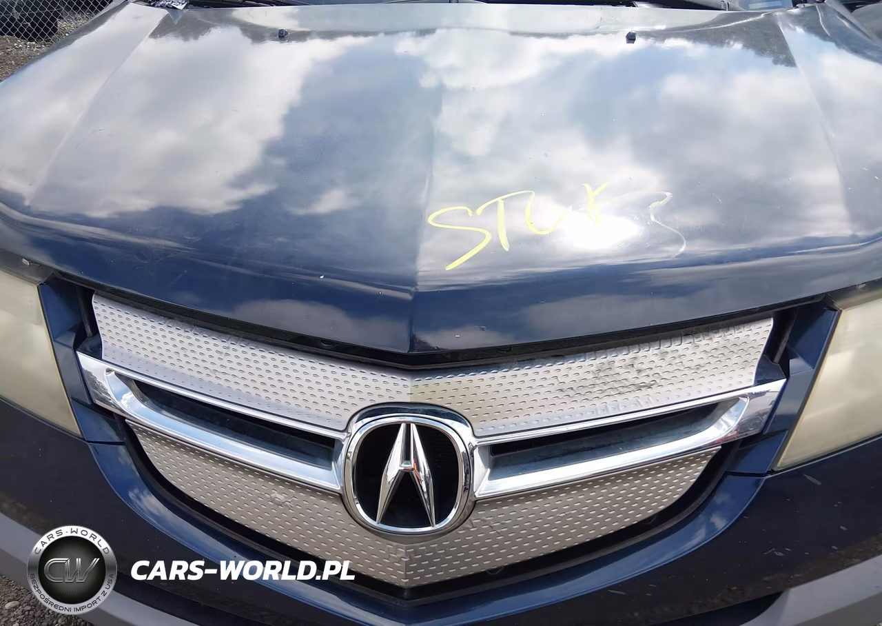2009 Acura Mdx VIN:2HNYD28259H517788 - 10