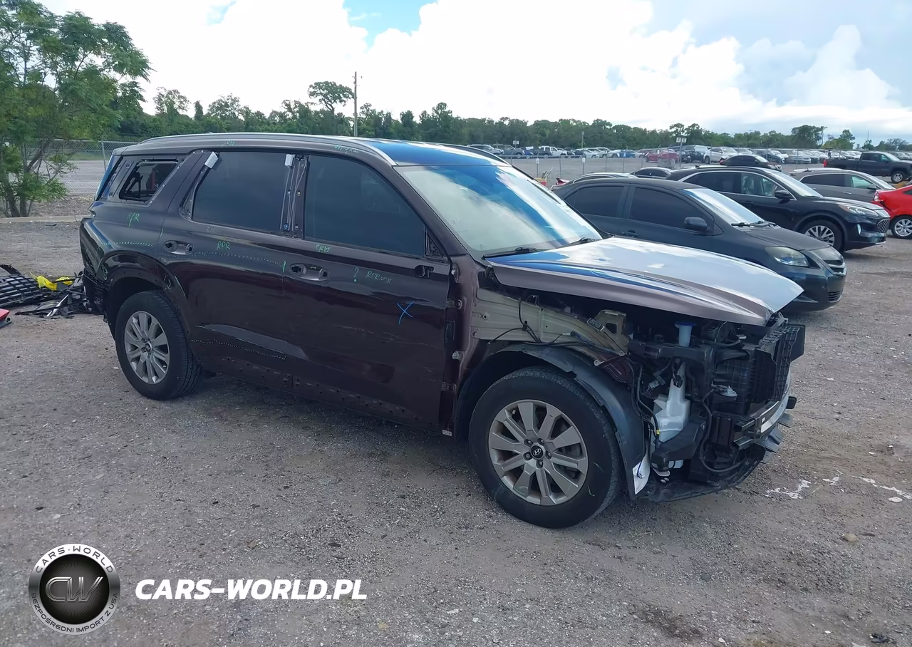 2024 Hyundai Palisade Sel VIN:KM8R2DGE9RU657407 - 1
