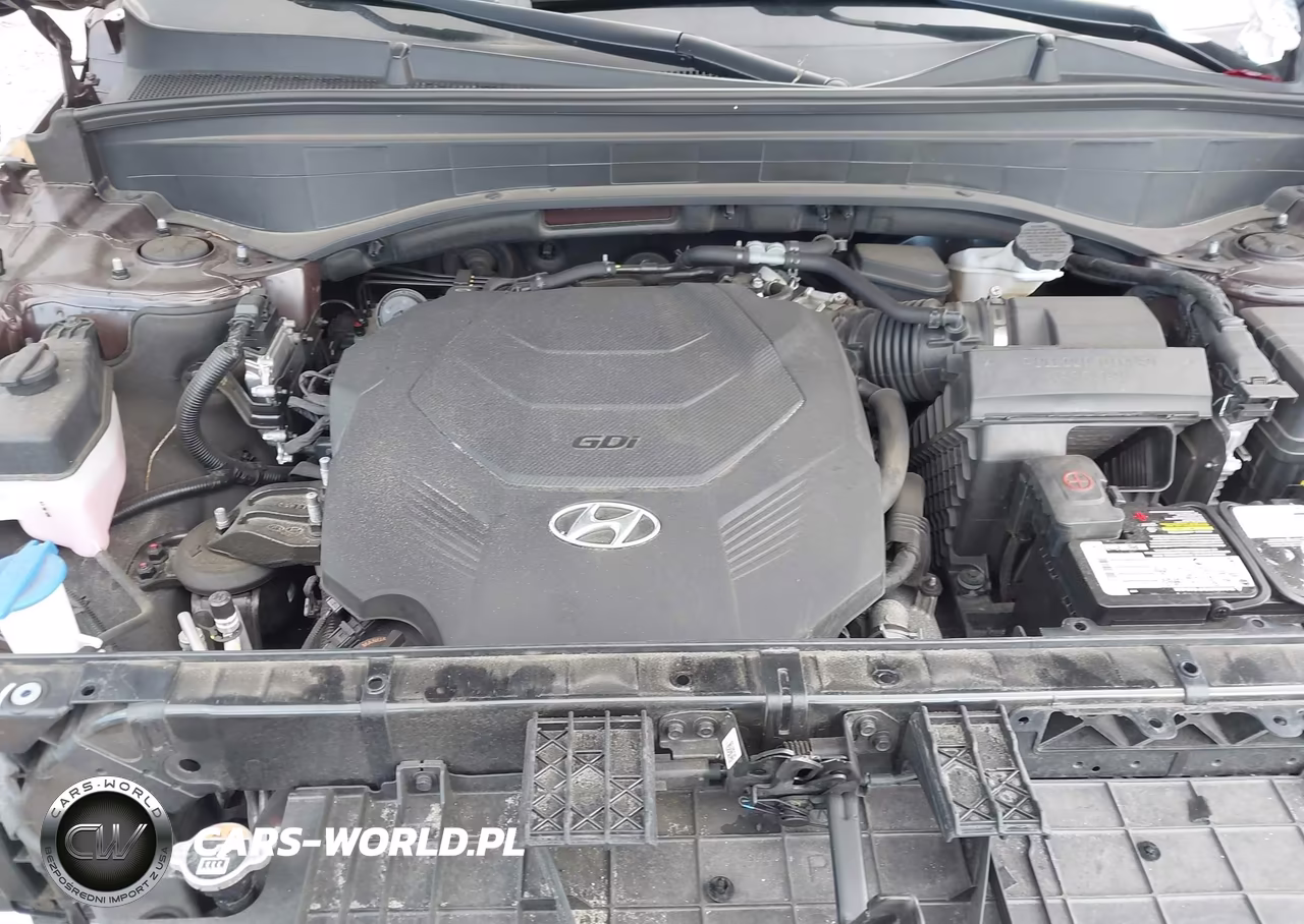 2024 Hyundai Palisade Sel VIN:KM8R2DGE9RU657407 - 10