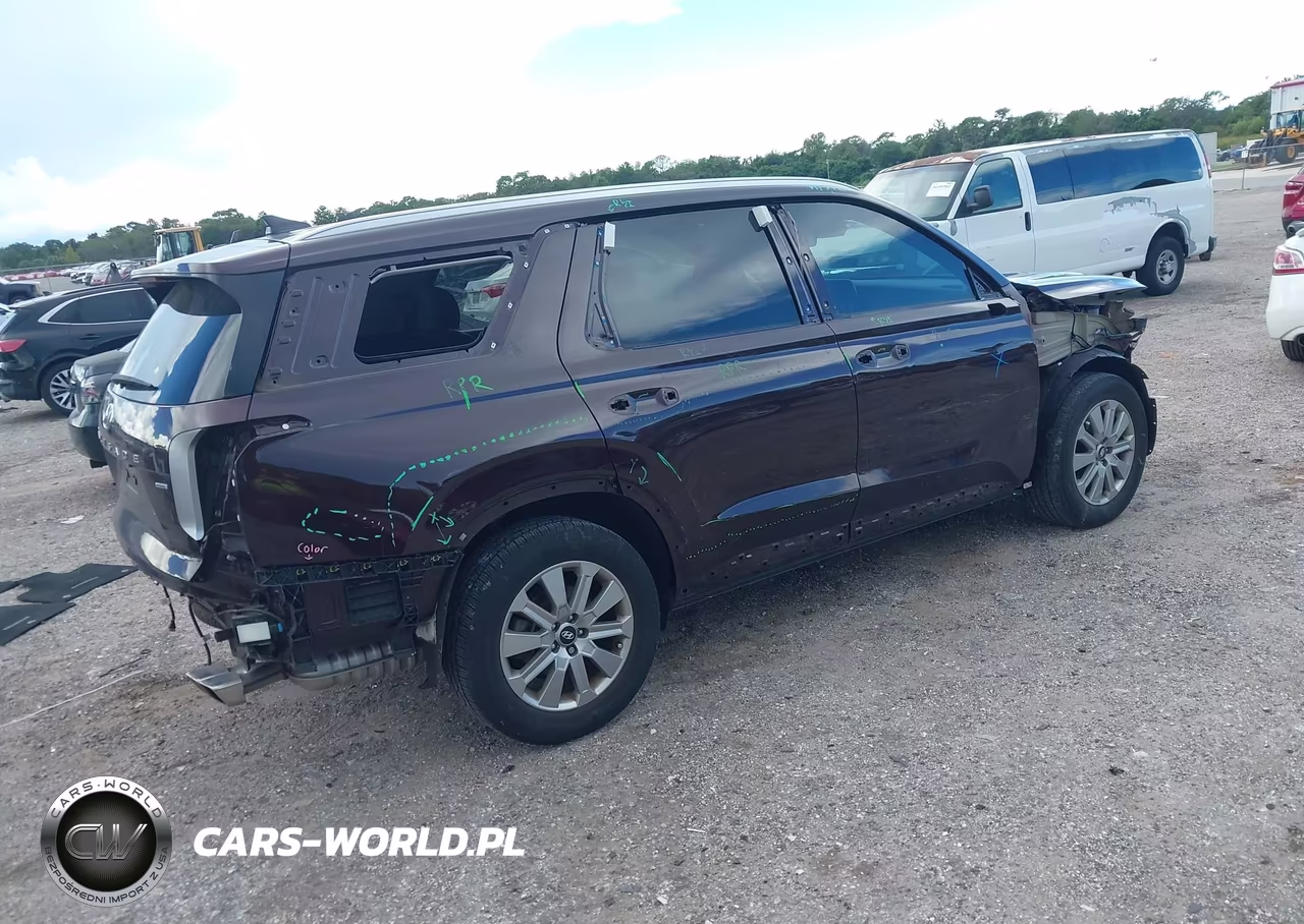 2024 Hyundai Palisade Sel VIN:KM8R2DGE9RU657407 - 4